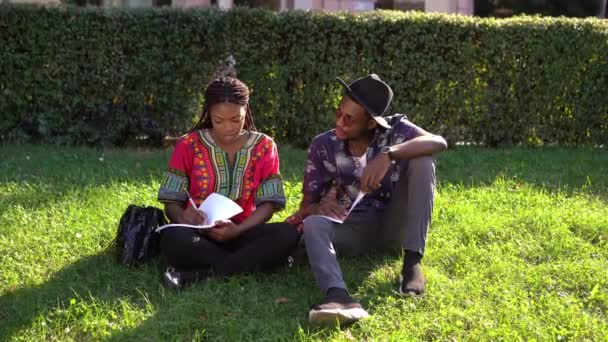 Chica explica a su novio el material de estudio sentado en el parque en la hierba — Vídeos de Stock