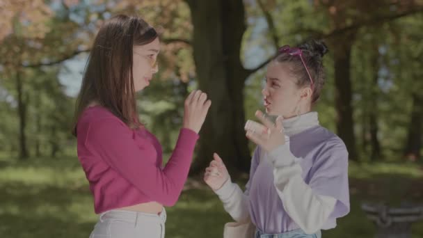Gadis-gadis di taman berkomunikasi dengan bantuan gerakan. Gadis muda yang tahu bahasa isyarat. — Stok Video
