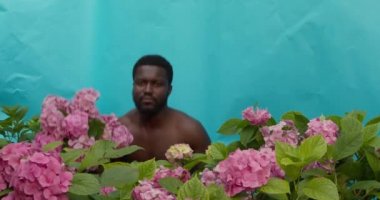 Çekici, koyu tenli, şık gülüşlü bir adam sana pembe ortancalar verir.