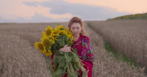 Młoda piękna dziewczyna w czerwonej sukience i szalik na ramionach spacery na polu pszenicy wieczorem z ogromnym bukietem słoneczników — Wideo stockowe