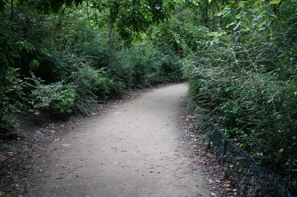 Un pasaje a través del verde —  Fotos de Stock