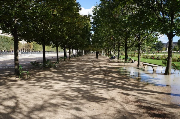 Jardin des tuileries — Zdjęcie stockowe