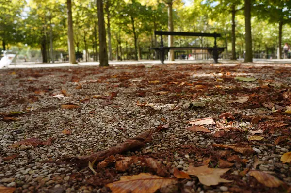 秋天在卢森堡花园 — 图库照片