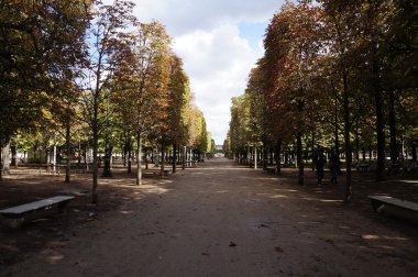 Paris sonbahar yürüyüş