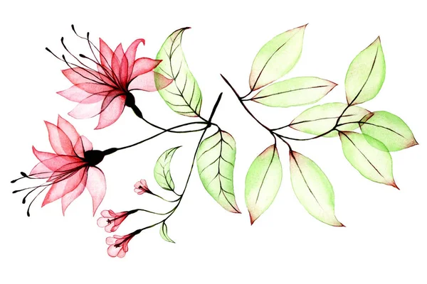 透明花と葉の水彩画セット 透明なピンクの熱帯の花ハイビスカスと緑の熱帯の葉 白い背景に孤立した要素の集まりです 熱帯クリップアート — ストック写真