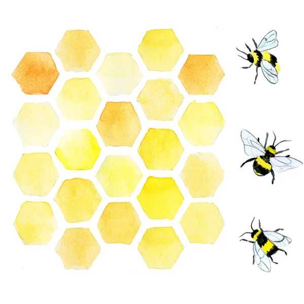 Aquarell Illustration Elemente Wabe Honig Bienen Handzeichnung Clip Art Zum — Stockfoto