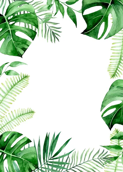 Suluboya Dikdörtgen Çerçeve Yeşil Tropikal Yapraklar Sınır Palmiye Yaprakları Canavar — Stok fotoğraf