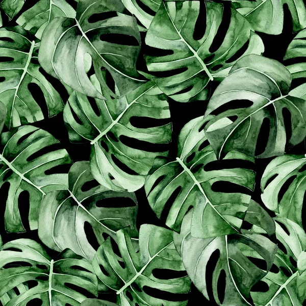Akvarel Bezešvný Vzor Tropickými Listy Tmavém Pozadí Monstera Listí Tlumených — Stock fotografie