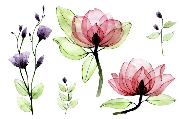 Akvarel Set Průhlednými Květy Retro Ruční Kresba Růžovými Divokými Růžemi — Stock fotografie