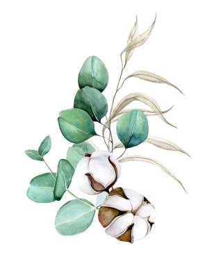 Suluboya elle çizilir. Bir buket pamuk, okaliptüs yaprakları ve kurutulmuş otlar. Sonbahar, kış buketi, düğün için dekorasyon, tebrik kartı, davetiye. clipart beyaz üzerine izole