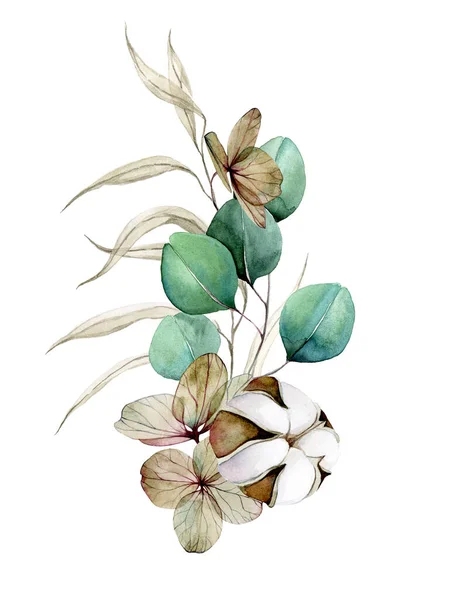 Akvarel Kresba Rukama Kytici Bavlněných Květin Listů Eukalyptu Sušených Bylin — Stock fotografie