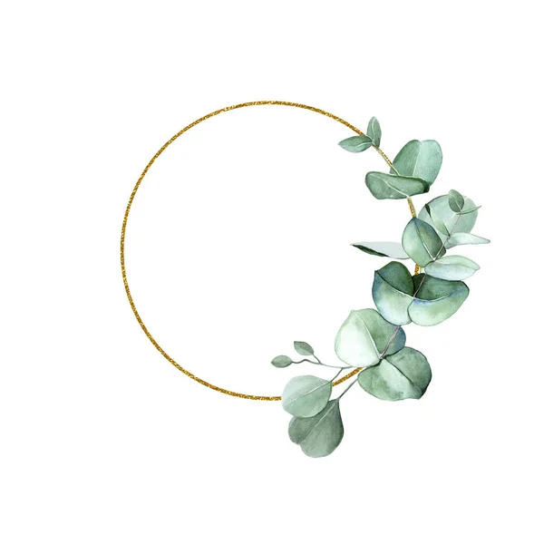 Okrągłe Złote Ramki Akwarelowymi Liśćmi Eukaliptusa Bawełniane Kwiaty Clipart Rysunek — Zdjęcie stockowe