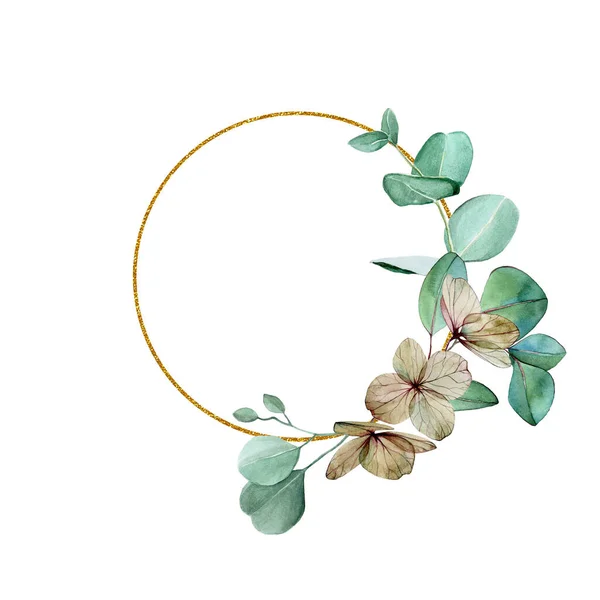 Okrągłe Złote Ramki Akwarelowymi Liśćmi Eukaliptusa Bawełniane Kwiaty Clipart Rysunek — Zdjęcie stockowe