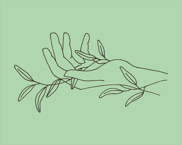 Στυλιζαρισμένα Χαριτωμένα Γυναικεία Χέρια Και Ένα Φυτό Ευκαλύπτου Boho Μοντέρνο — Διανυσματικό Αρχείο