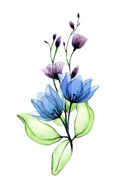 Şeffaf çiçeklerin suluboya buketi. Mavi ve mor kır çiçekleri, yabani güller. Düğün için tasarım, davetiye, tebrik kartı. clipart beyaz arkaplanda izole edildi