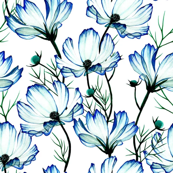 Akvarell Sömlös Mönster Med Blå Transparenta Blommor Kamomill Kosmi Blå — Stockfoto