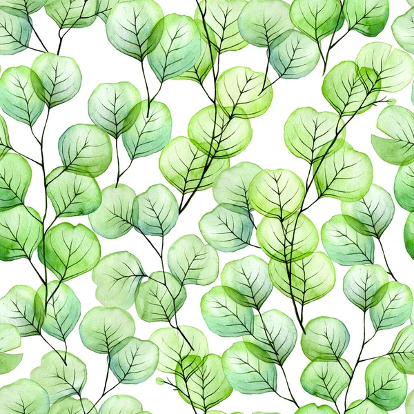 watercolor seamless pattern with transparent eucalyptus leaves. green tropical eucalyptus leaves on a white background. modern watercolor, beautiful print for fabric, wallpaper, wrapping