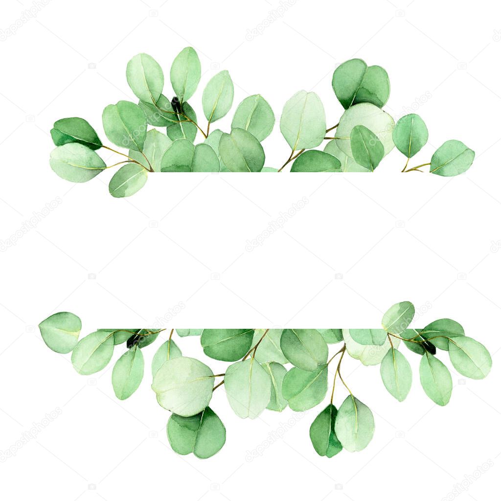 frame from leaves and branches of eucalyptus painted in watercolor. green eucalyptus leaves, tropical plant isolated on white background. web banner, frame, border. decoration for cards, invitations