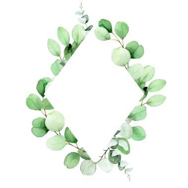 Okaliptüs yapraklı ve dallı eşkenar dörtgen çerçeve. suluboya resim, narin tropikal yapraklar, tebrikler için tasarım, davetiyeler, düğünler. clipart