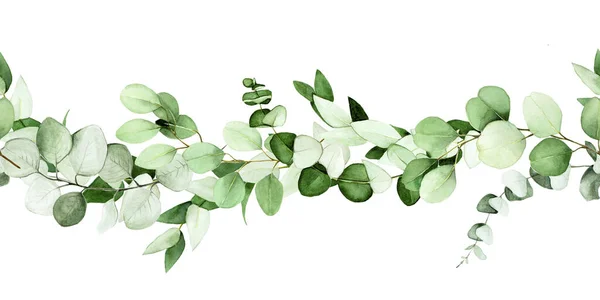 Watercolor Drawing Seamless Border Eucalyptus Leaves Branches Isolated White Background — Stock fotografie