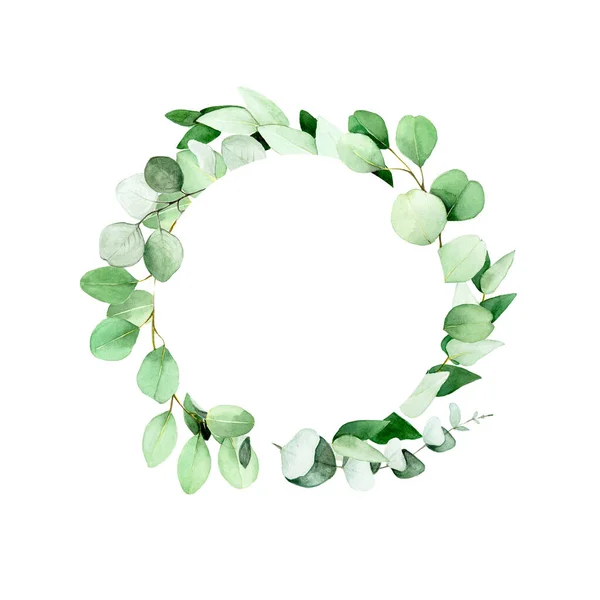 Watercolor Drawing Frame Eucalyptus Leaves Branches Isolated White Background Wreath — Stock Photo, Image