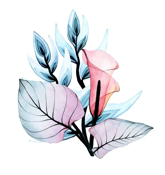 水彩花组成透明 在白色背景上被隔离的热带花 百合花 粉红色和蓝色 — 图库照片