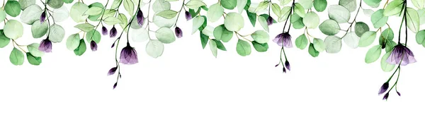 Aquarel Naadloze Rand Frame Banier Met Eucalyptusbladeren Transparante Wilde Bloemen — Stockfoto