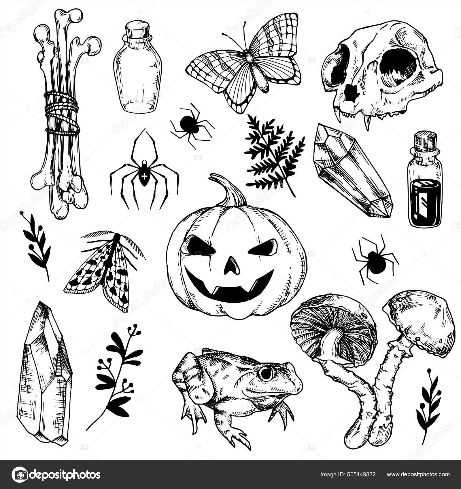 Linje Tegning Grafik Sæt Mystiske Hekseelementer Til Halloween Tegning  Vintage Stockvektor af ©Odrik 505149832, image size:1600x1700