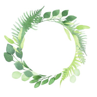 Basit eğreltiotu ve okaliptüs yapraklarından yapılmış suluboya çerçeve. yeşil orman bitkileri ve yaprakları beyaz arka planda izole.