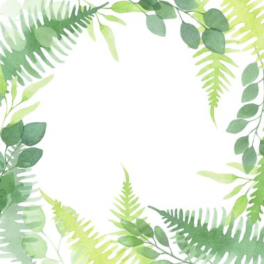 Basit soyut yapraklarla suluboya çerçeve. Vahşi orman bitkileri, okaliptüs yaprakları, eğreltiotu..