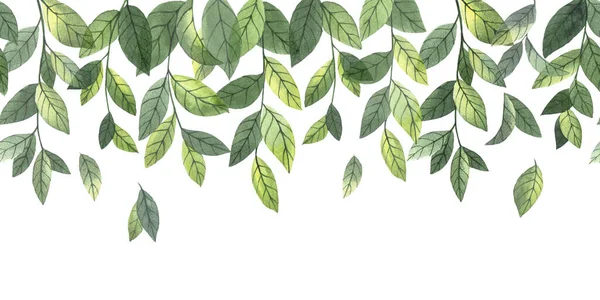 Акварель Бесшовная Граница Рамка Веб Баннер Простыми Зелеными Листьями Ветвями — стоковое фото