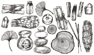 Aromatherapy, meditation set. Incense, essential oils, Palo Santo. Sketch style illustration.