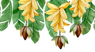 Tropikal yapraklar ve muz palmiyeleriyle suluboya dikişsiz muz sınırı