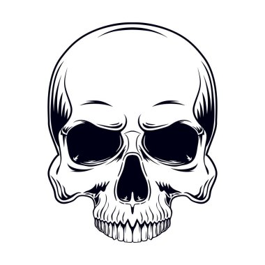 Beyaz arka planda izole edilmiş alt çenesi olmayan bir insan kafatasının siyah ve beyaz vektör çizimi.