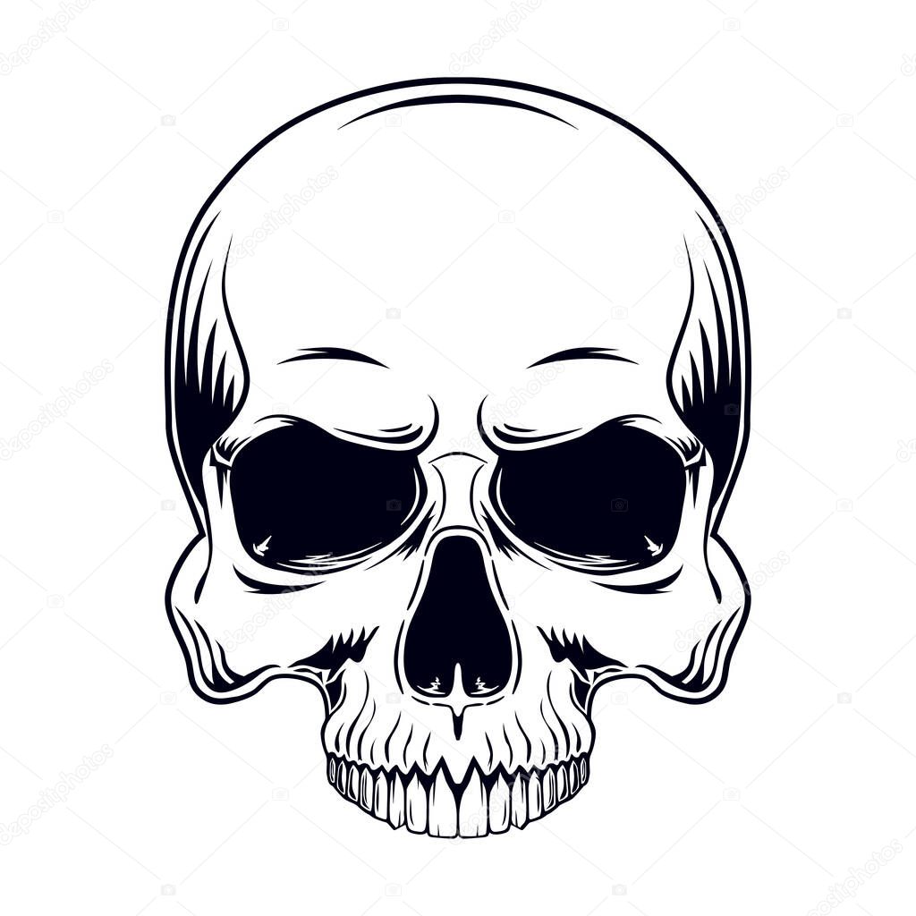 Black and white vector illustration of a human skull without a lower jaw isolated on a white background.