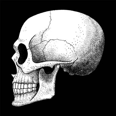 Siyah arkaplanda alt çenesi olan insan kafatası