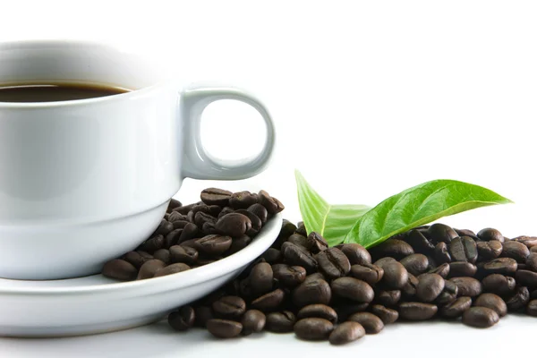 Coffee beans with leaves on white background — Stock Photo, Image