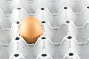 beyaz bitti izole karton bir kahverengi yumurta