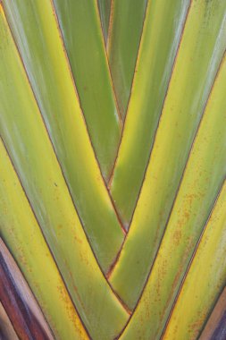 muz gibi bir darbe arka plan doku cascaded bırakır.