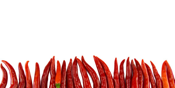 chili on white background.