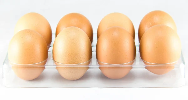 Bir düzine yumurta yumurta tepsisinde