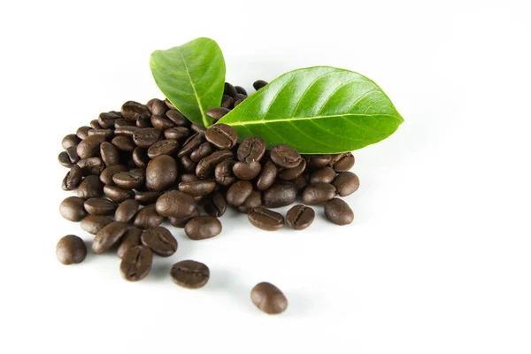 Koffie granen en bladeren — Stockfoto