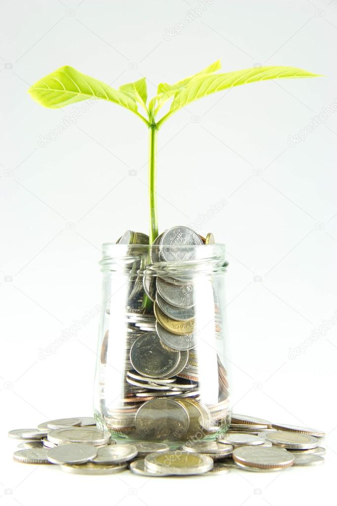 Growing plant with coin money