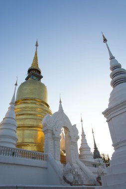 Golden pagoda adlı Wat Suan Dok, Chiang Mai, Tayland. Bea