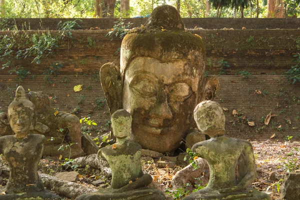 Thailand, Chiang Mai, Umong Temple ( Wat Umong ), old religious — Stock Photo, Image