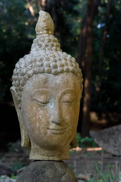 Thailand, Chiang Mai, Umong Temple ( Wat Umong ), old religious — Stock Photo, Image