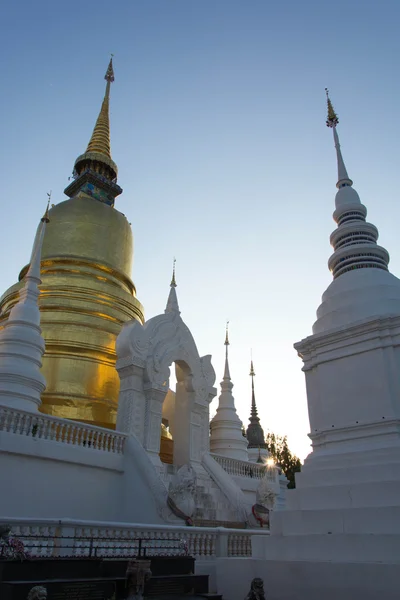 The golden pagoda at Wat Suan Dok, Chiang Mai, Thailand. The bea — Stock Photo, Image