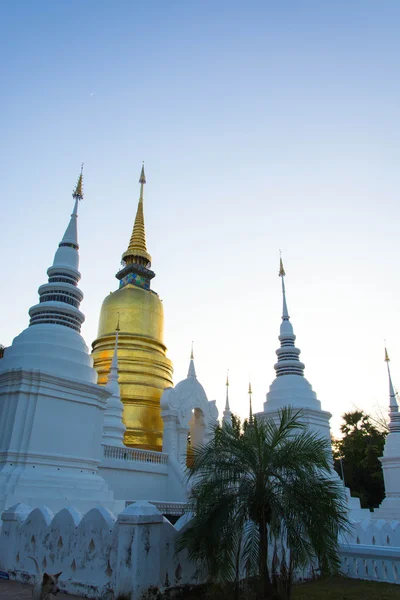 The golden pagoda at Wat Suan Dok, Chiang Mai, Thailand. The bea — Stock Photo, Image