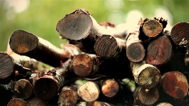 Une pile de bois sous la pluie — Video