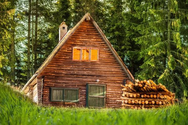 Casa in legno nella foresta Fotografia Stock